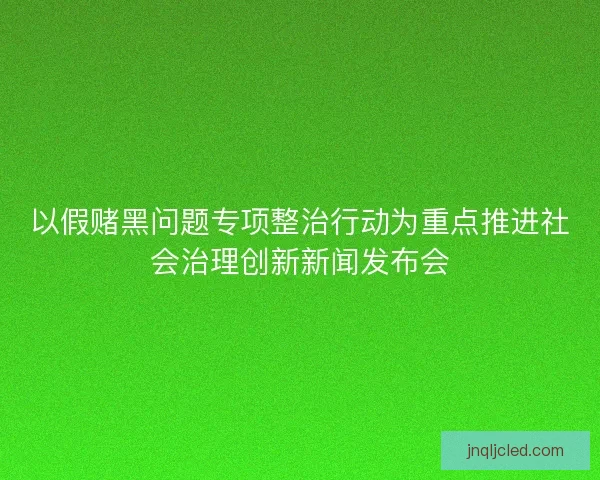 以假赌黑问题专项整治行动为重点推进社会治理创新新闻发布会